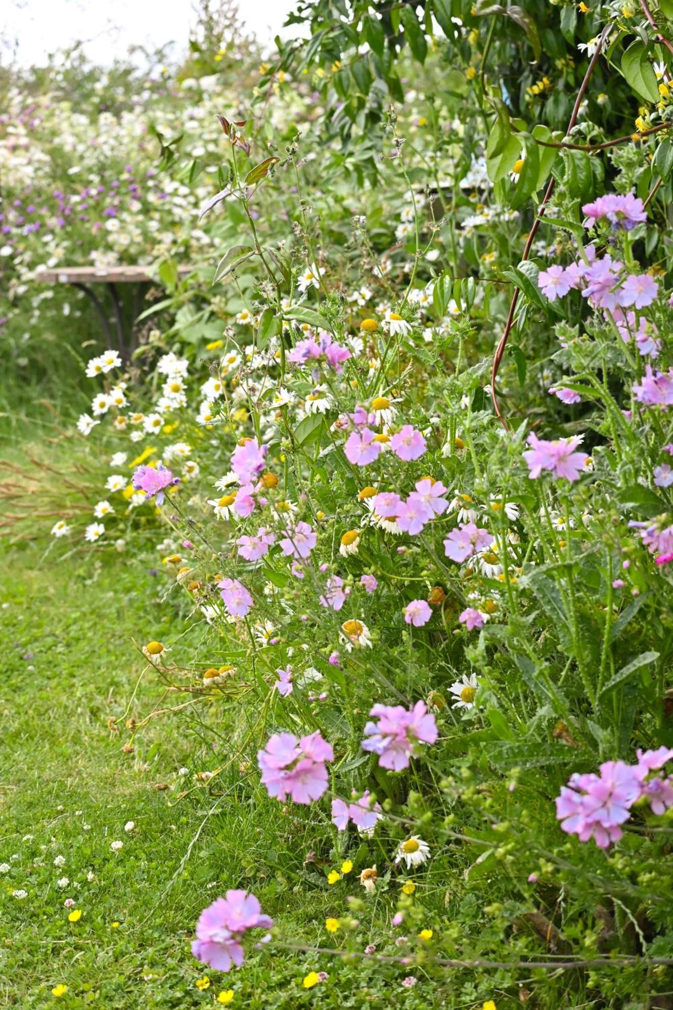 Bluebell Cabin Badsey 外观 照片