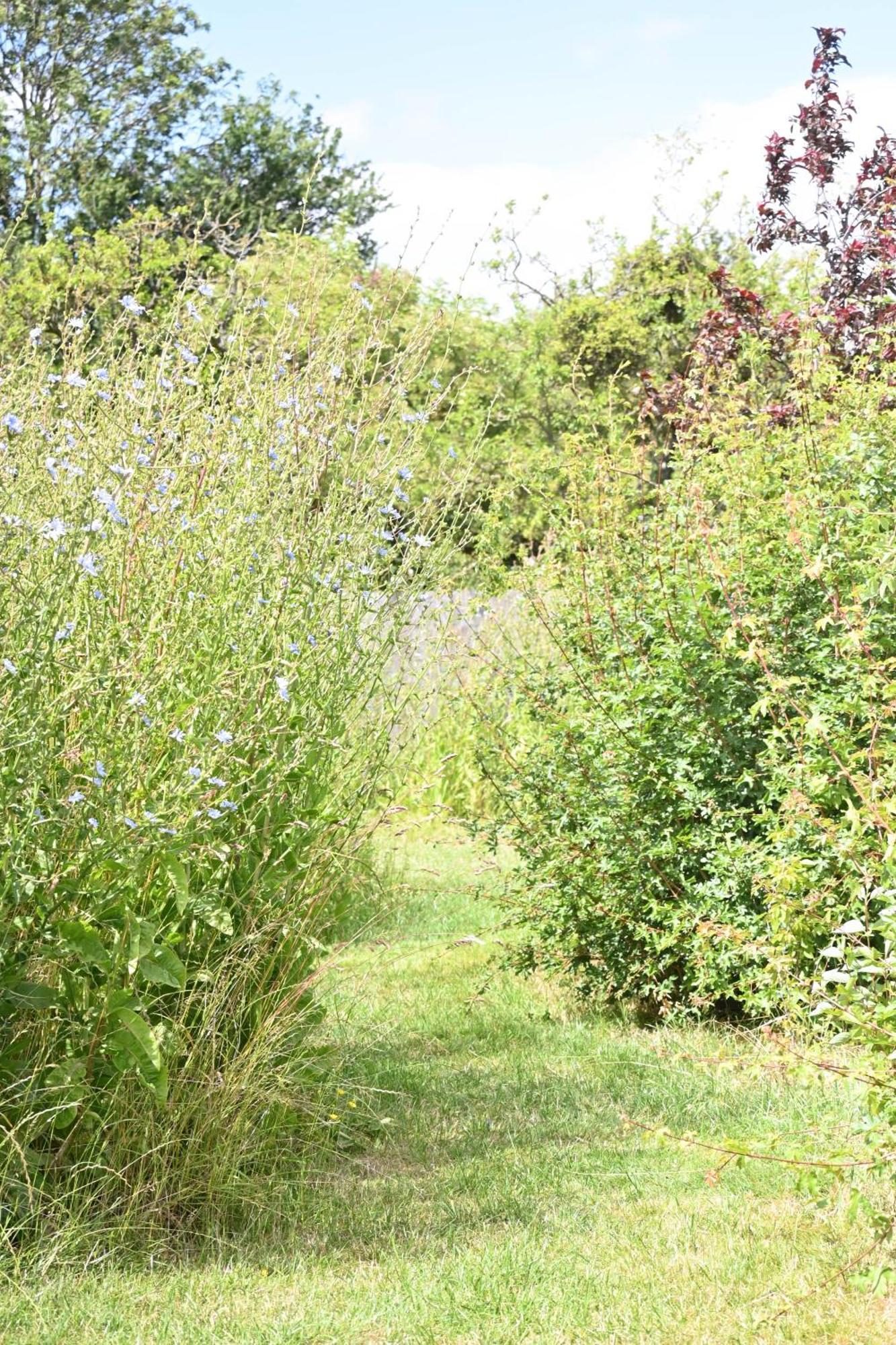 Bluebell Cabin Badsey 外观 照片